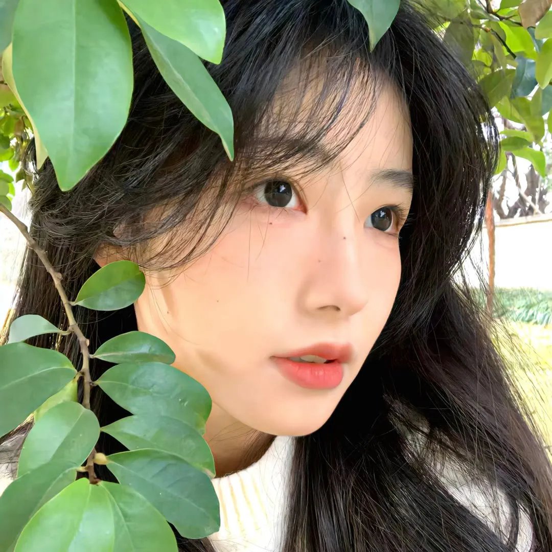 土地之光