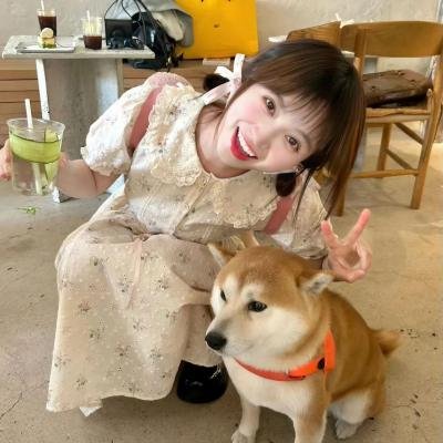 我恨爱情故事